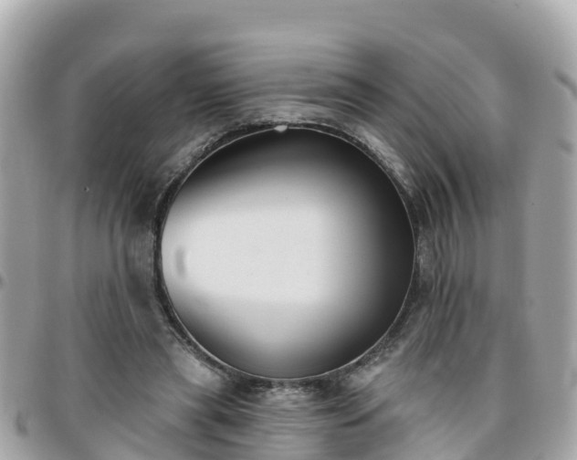 X0000096210445200801251038