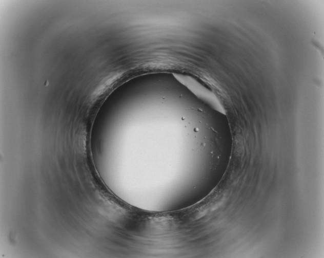 X0000096210446200801251038