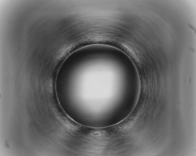 X0000096210447200801251038