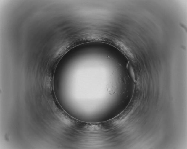 X0000096210449200801251038