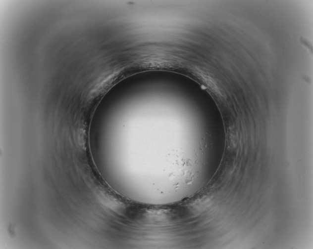 X0000096210450200801251038