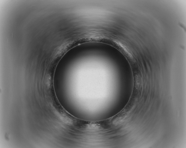 X0000096210451200801251038