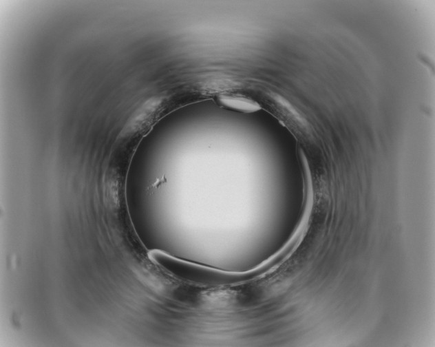 X0000096210452200801251038