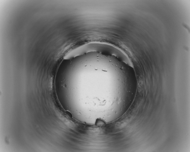 X0000096210454200801251038