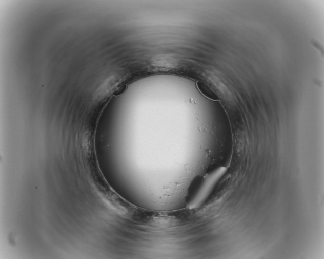 X0000096210455200801251038