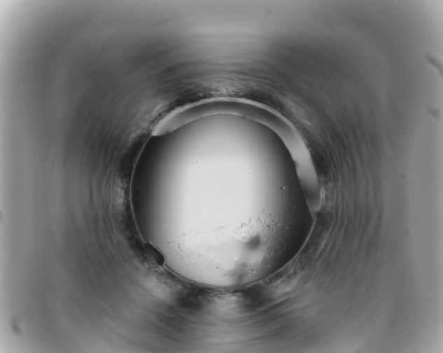 X0000096210456200801251038