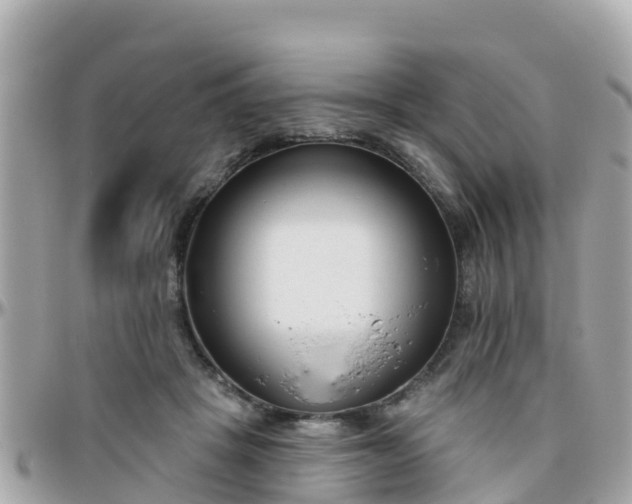 X0000096210457200801251038