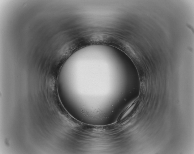 X0000096210458200801251038