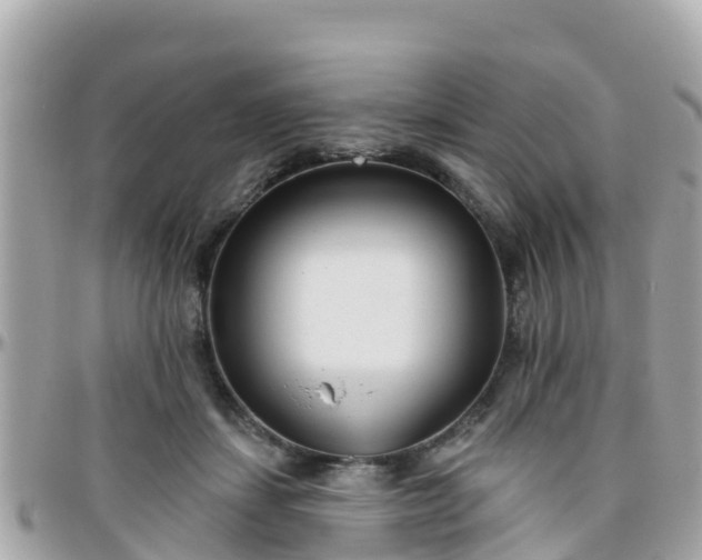 X0000096210459200801251038