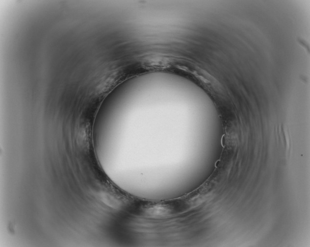 X0000096210460200801251038