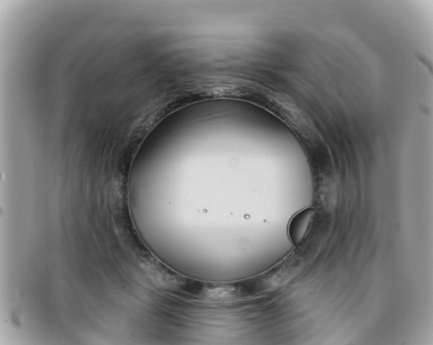 X0000096210461200801251038