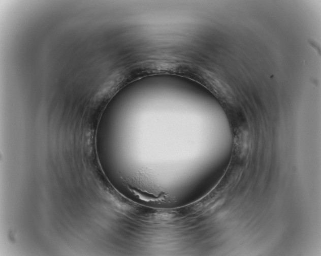 X0000096210462200801251038