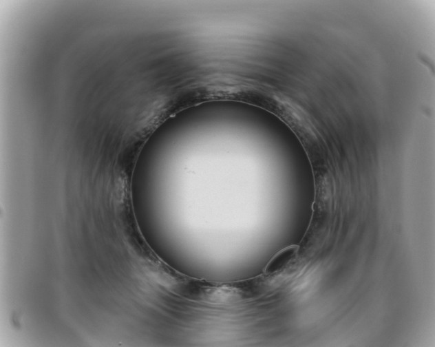 X0000096210463200801251038