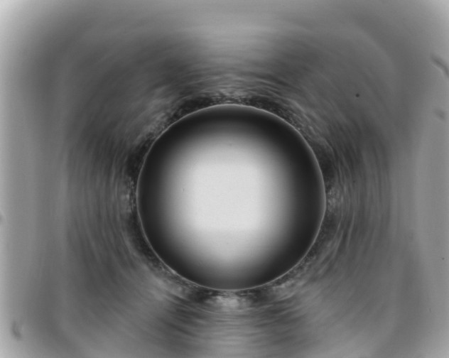 X0000096210464200801251038