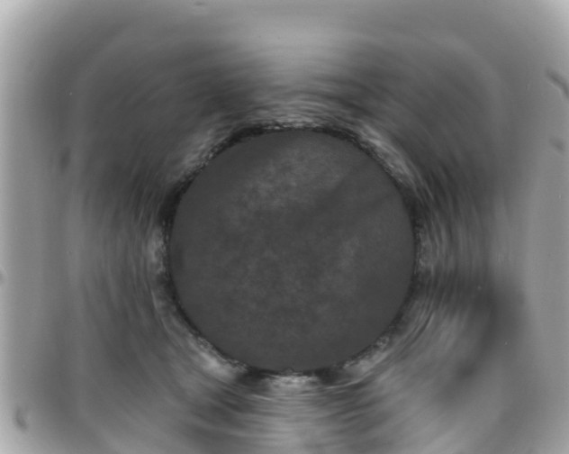 X0000096210465200801251038