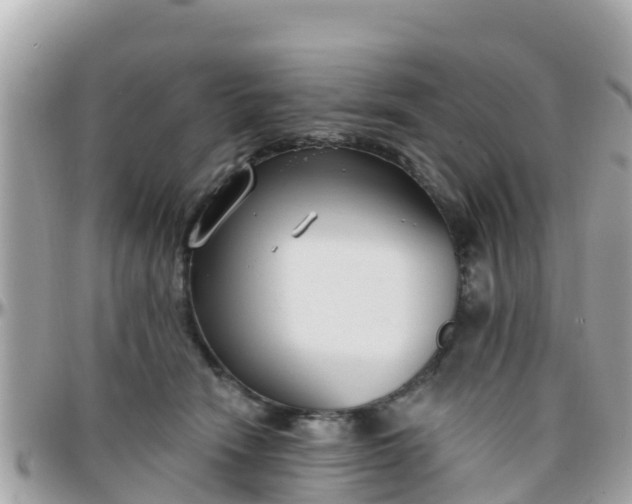 X0000096210466200801251038