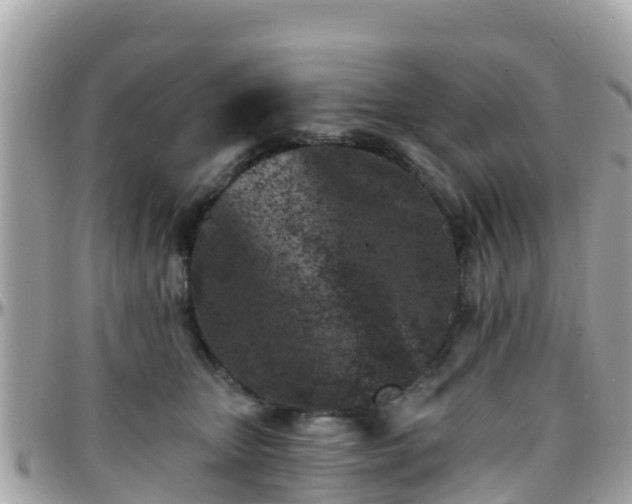 X0000096210467200801251038