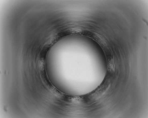 X0000096210468200801251038