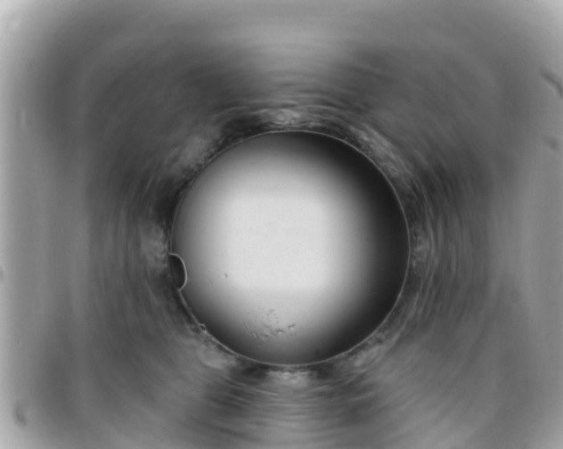 X0000096210469200801251038