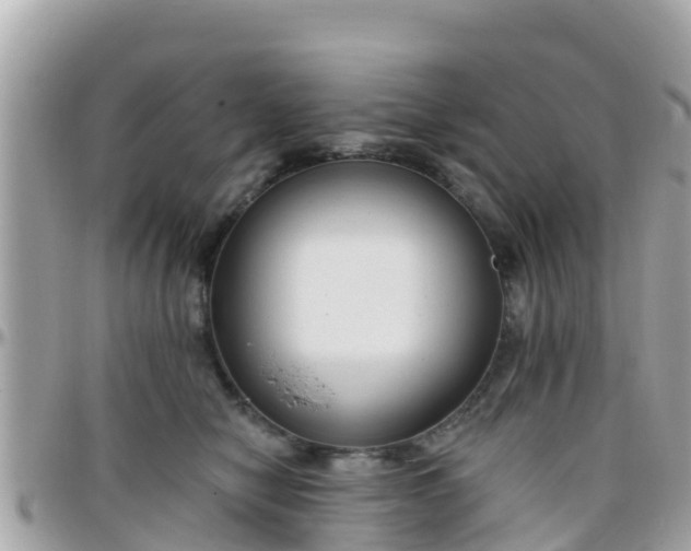 X0000096210470200801251038