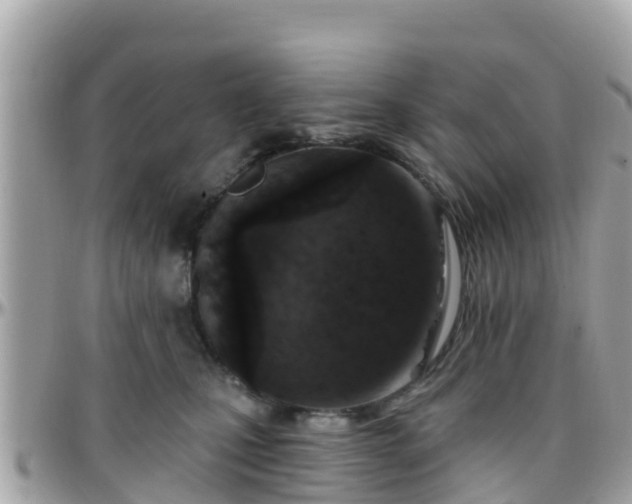 X0000096210471200801251038