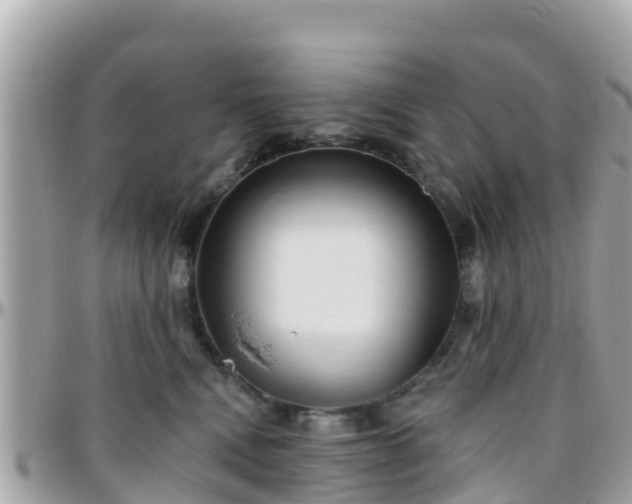 X0000096210472200801251038