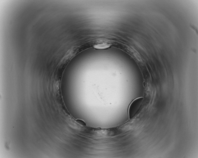 X0000096210473200801251038