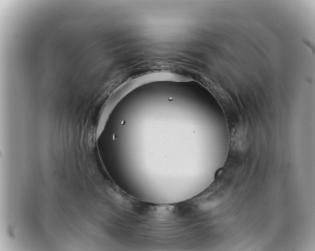 X0000096210474200801251038