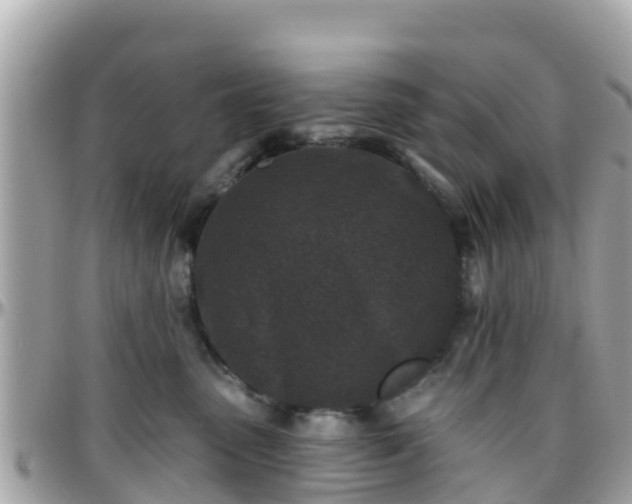 X0000096210475200801251038