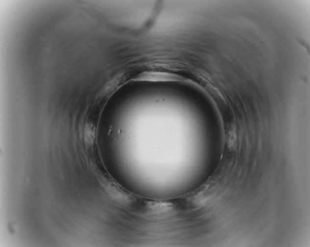 X0000096210476200801251038