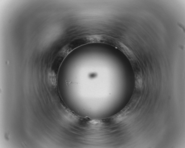 X0000096210477200801251038