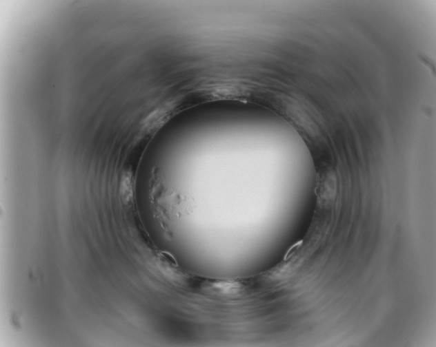 X0000096210478200801251038