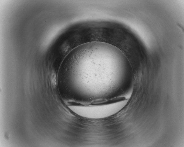 X0000096210479200801251038