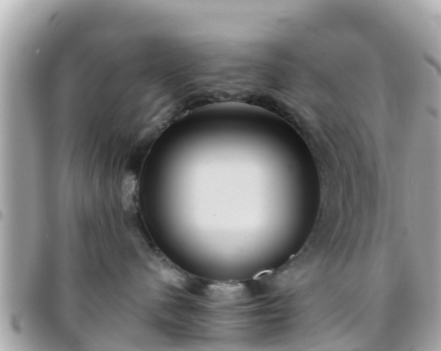 X0000096210480200801251038