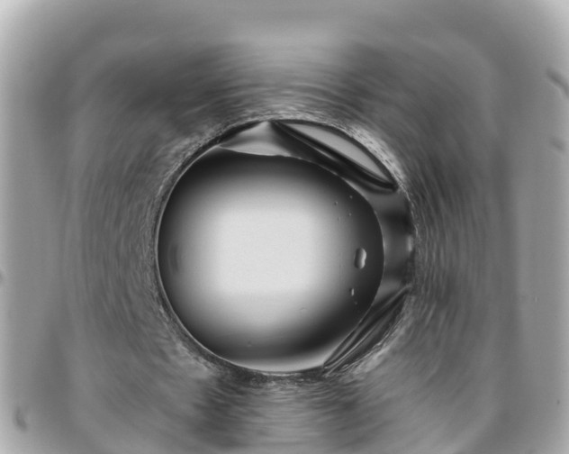 X0000096210481200801251038