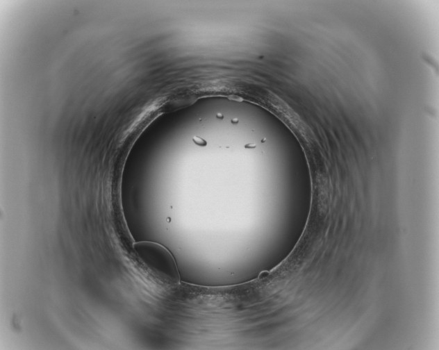 X0000096210482200801251038