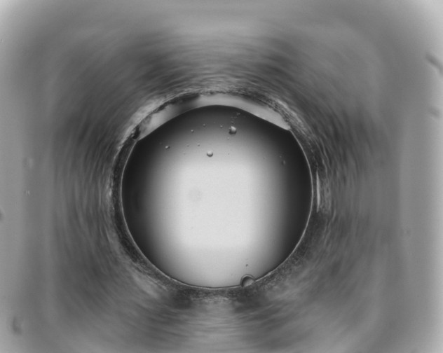 X0000096210483200801251038