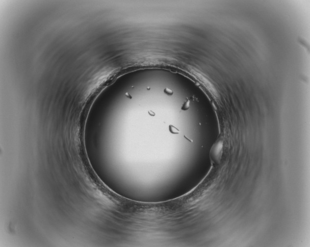 X0000096210485200801251038