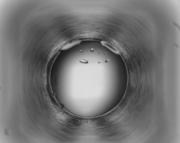 X0000096210486200801251038