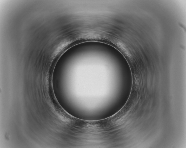 X0000096210487200801251038