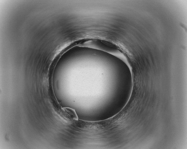 X0000096210488200801251038