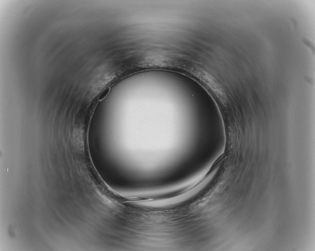 X0000096210489200801251038