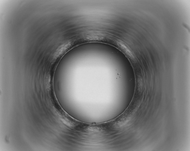 X0000096210490200801251038