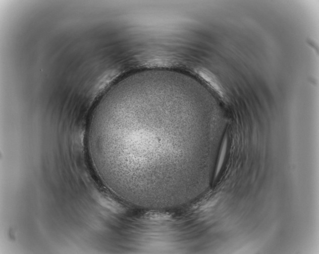 X0000096210491200801251038