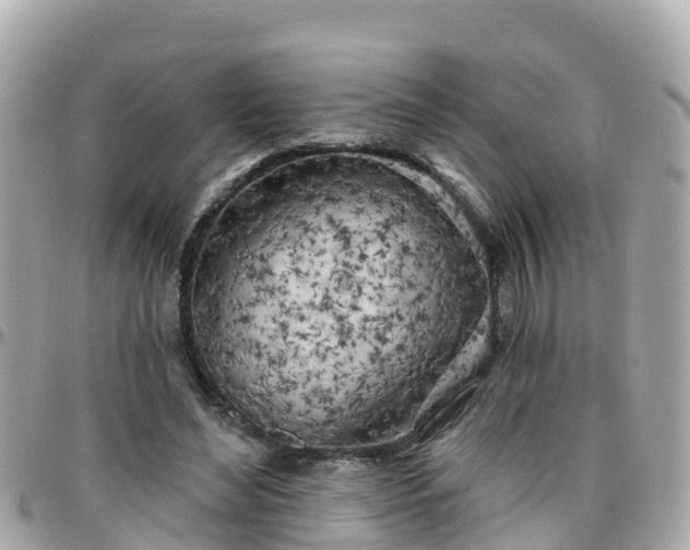 X0000096210492200801251038