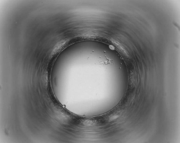 X0000096210494200801251038