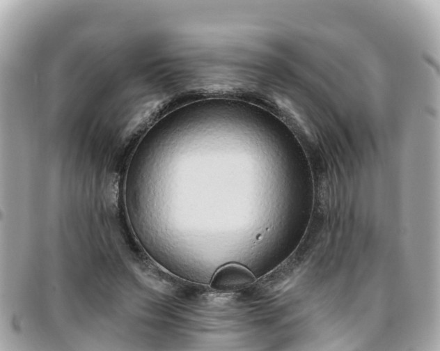 X0000096210495200801251038