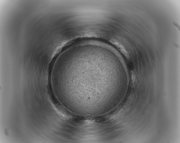 X0000096210496200801251037