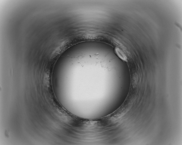 X0000096210497200801251037