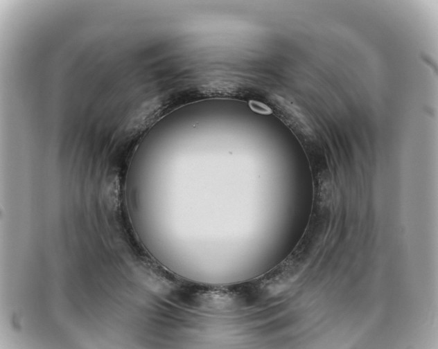 X0000096210498200801251037